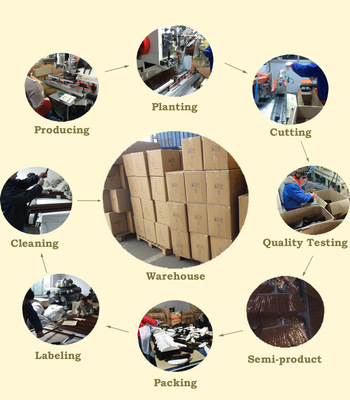 【塑料掃把 供應(yīng)掃帚頭 廠家直銷 價(jià)格優(yōu)惠 外貿(mào)原單】價(jià)格,廠家,圖片,掃帚畚箕套裝,張家港英瑞實(shí)業(yè)-