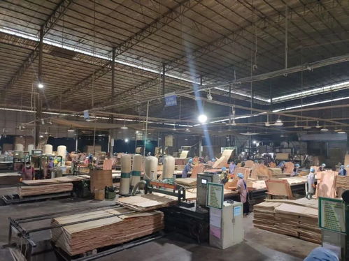 山圩產業園延鏈補鏈強鏈助推木業產業高質量發展